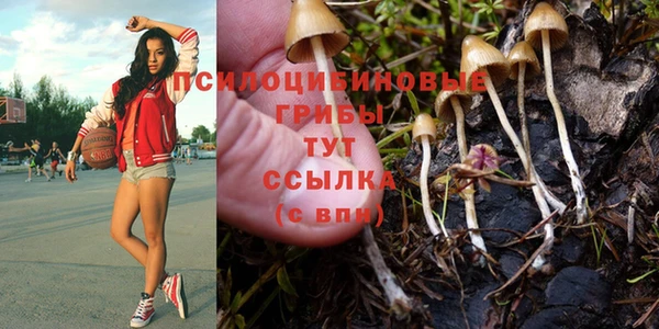 mix Иннополис