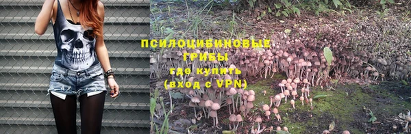 jwh Каменногорск