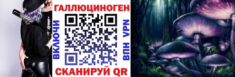 Галлюциногенные грибы MAGIC MUSHROOMS  Купить  Закаменск 