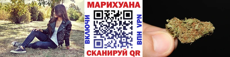Каннабис планчик  Купить  Закаменск 